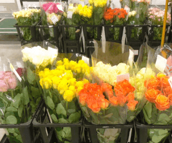 色鮮やかな花の画像
